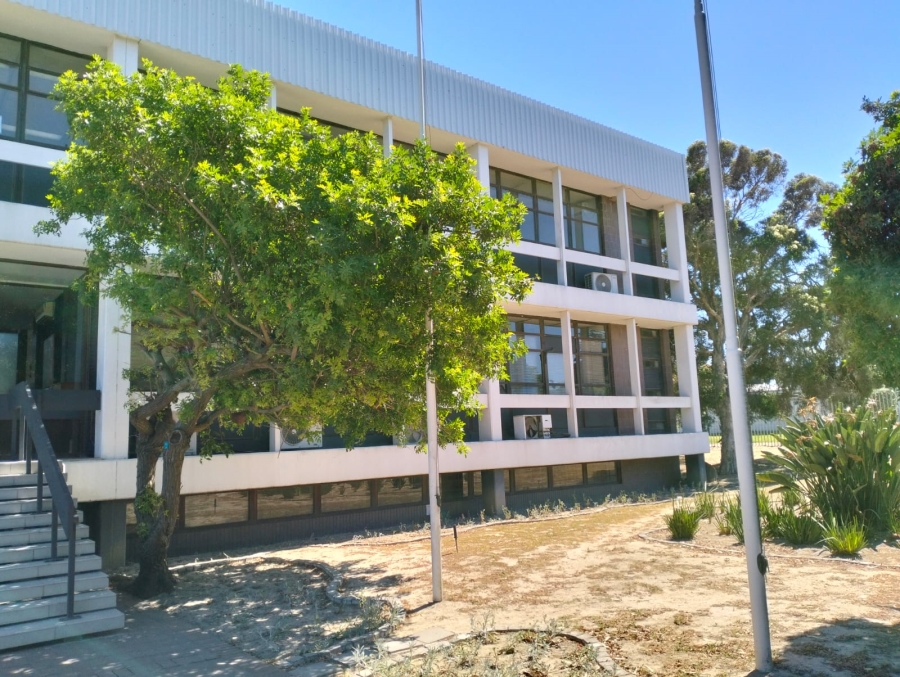 To Let commercial Property for Rent in Brackenfell Industrial Western Cape